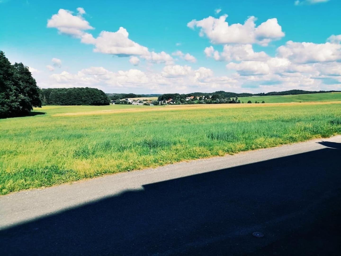 Ferienwohnung 76 qm Whg im EG Haus-Wohlfühloase vor der Haustür Gladenbach Exterior foto